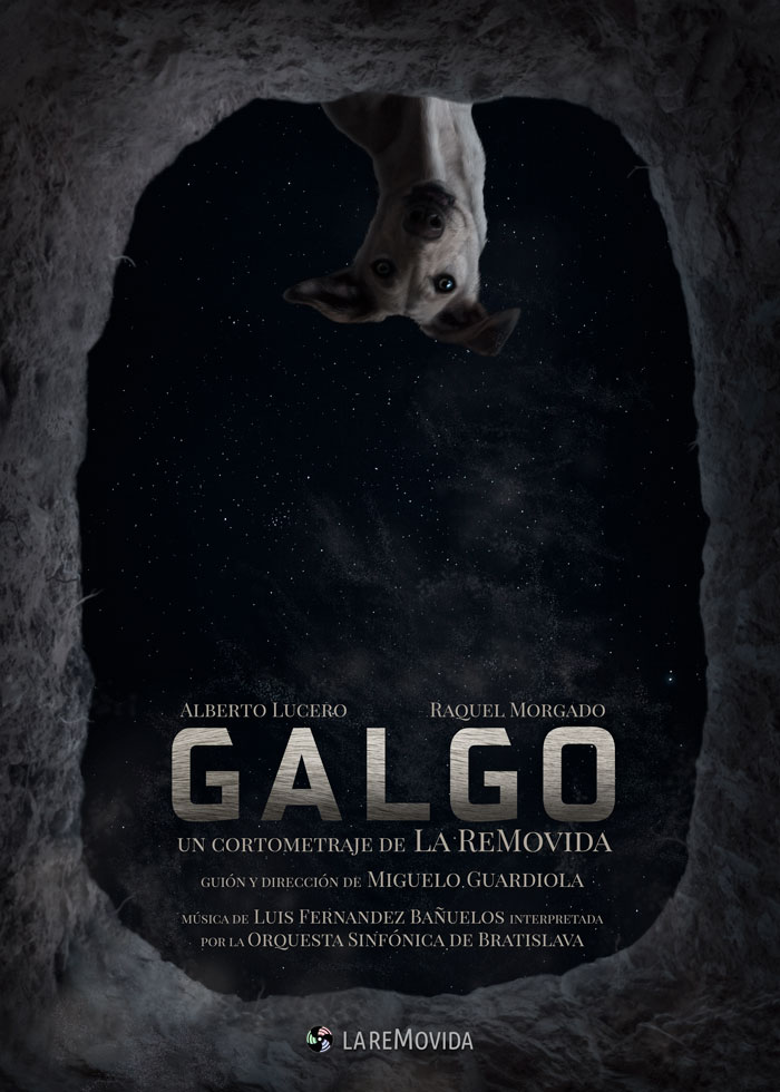 cartel Galgo